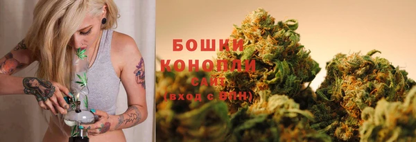 сатива Кодинск