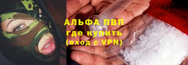 сатива Кодинск