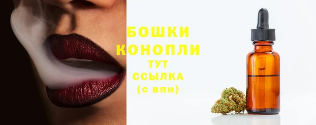 тгк Кинешма