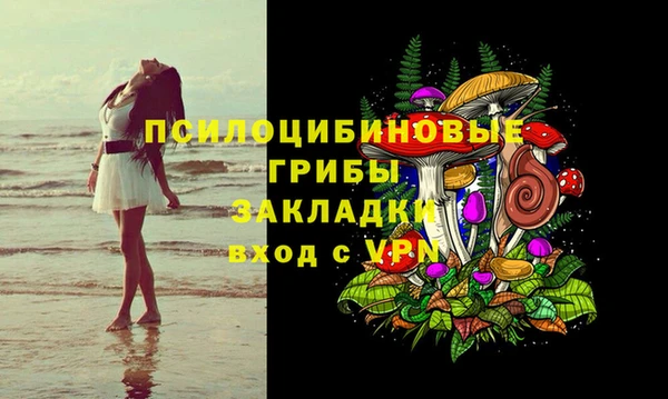гидропоника Козловка
