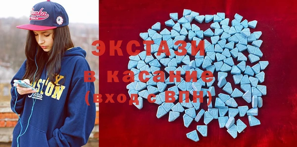 крисы Козельск