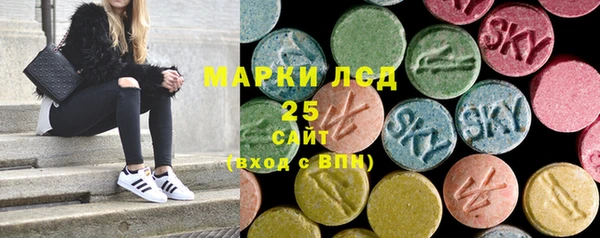 крисы Козельск