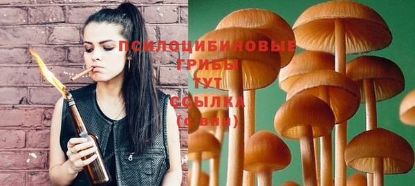 крисы Козельск