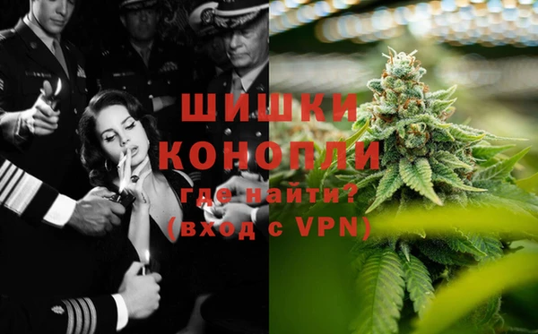 сатива Кодинск
