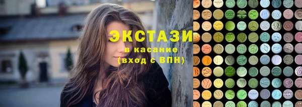 крисы Козельск
