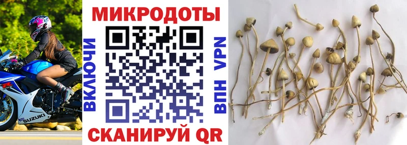 Купить  Верея  Галлюциногенные грибы Psilocybine cubensis 